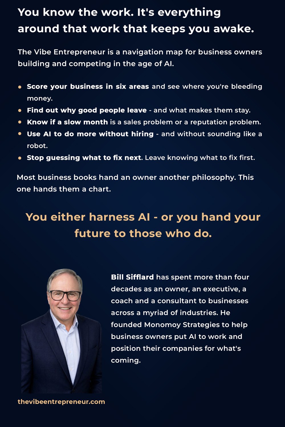 The Vibe Entrepreneur — back cover